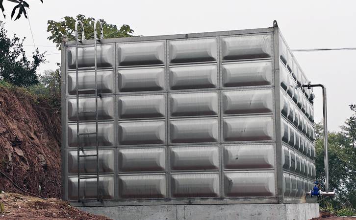 1753155825684365.jpg 301.jpg